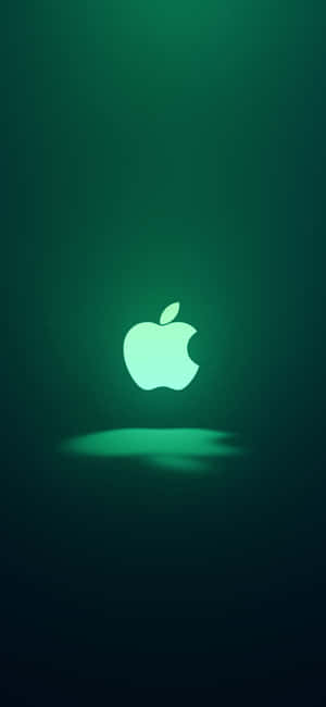 iPhone 11 Green — iPhone 13 Pro Max Обои