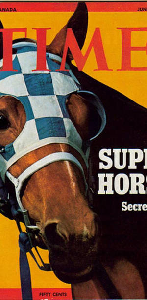Легендарный Secretariat в полном галопе — 18:9 Обои