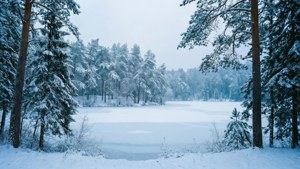 Заснеженный лес и замерзшее озеро на сверхширокоформатном зимнем пейзаже.