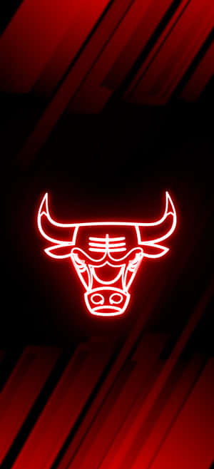Chicago Bulls Phone — Pixel 9 Pro Fold Обои