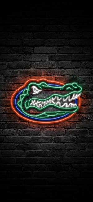 Обои логотип Florida Gators в неоновых огнях — iPhone 11 Pro Обои