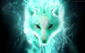 Super Cool Wolf — Крутой волк Обои