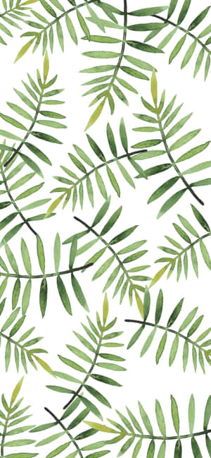 Cute Leaves — iPhone 11 Pro Обои