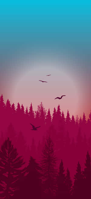Night Forest — iPhone 16e Обои