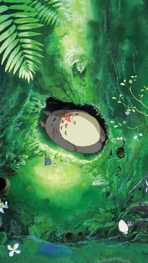 Studio Ghibli Телефон