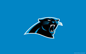 Логотип футбольной команды Carolina Panthers, светло-голубой, обои для рабочего стола.