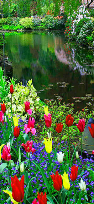 Pixel 3 Spring Background — Pixel 8a Обои