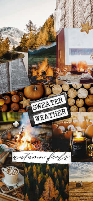 Autumn Collage — iPhone 13 Pro Обои