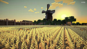 Обои Minecraft рисовое поле утро восход солнца вид