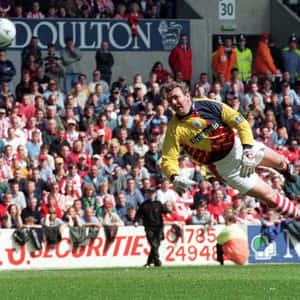 Нев Саутолл, вратарь «Сток Сити», в игре — Футбол Обои