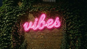 Неоновая вывеска «Vibes» на увитой плющом кирпичной стене ночью. — Инди эстетика гиф Обои