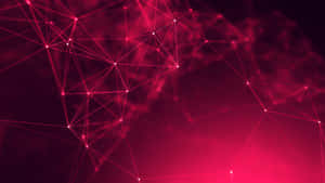 Фон 1600X900