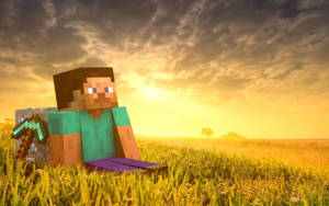 Minecraft Стив на травяном поле HD обои