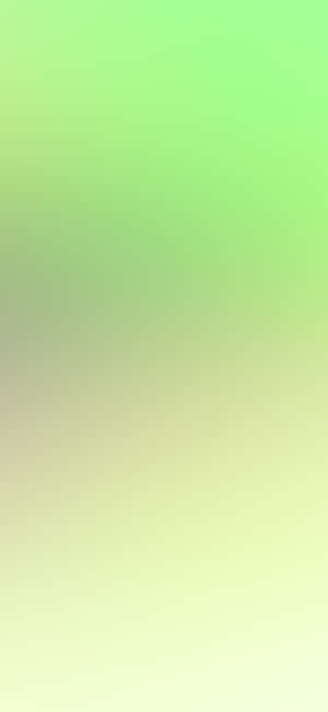 iPhone 11 Green — iPhone 18 Pro Обои