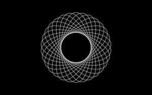 Овал — Черно-белая эстетика GIF Обои