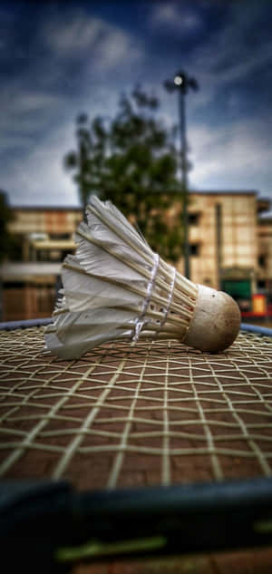 Android Badminton фон — Galaxy Note Обои
