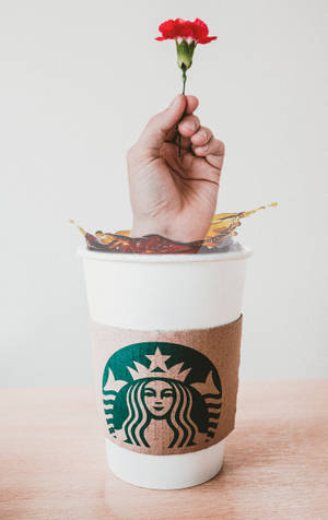 Рука Starbucks iPhone — Huawei MatePad Pro 12 (2026) Обои