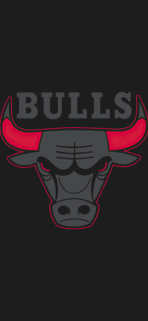 Chicago Bulls iPhone — iPhone 17 Pro Max Обои
