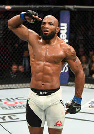 Приветствие Йоэля Ромеро на UFC 205 — IQOO Pad5 Обои