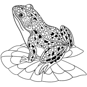 Картинки с рисунками лягушек — iPad Pro Обои