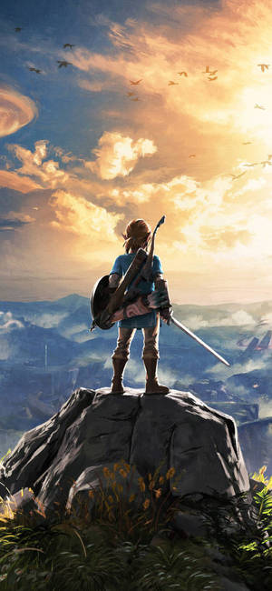 HD изображение персонажа Линка Breath Of The Wild обои — iPhone Xs Обои