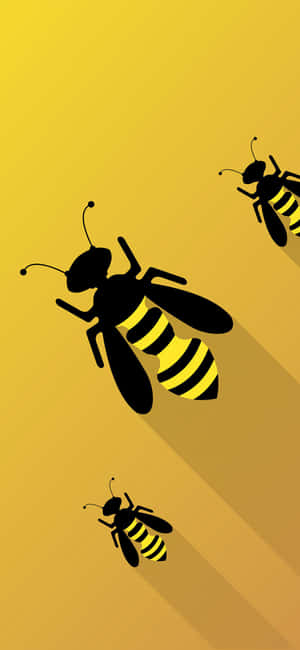 Bee Iphone — Motorola Edge 70 Max Обои