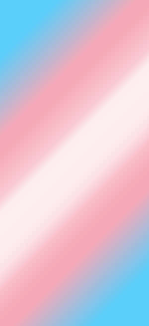 Trans Phone — Pixel 10 Pro Обои