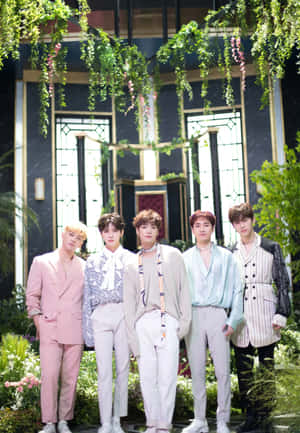 nuest — Kpop гиф Обои