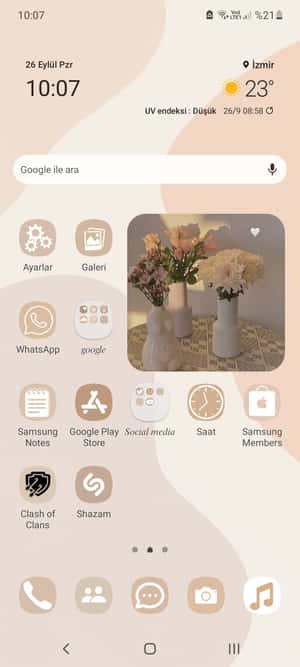 Aesthetic Widgets Pictures — Pixel 9 Обои