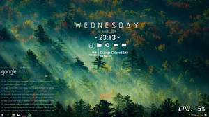 Скин Rainmeter с изображением прекрасного леса