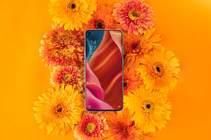 Смартфон Oppo и цветущая флора