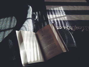 Солнечная эстетика книги обои — Книжная эстетика Обои