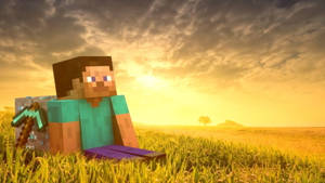 Мальчик из Minecraft смотрит на закат