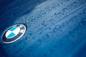 Крупный план обоев с логотипом BMW на синем автомобиле с каплями