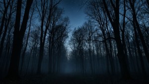 Силуэт тёмного леса в сумерках с туманом и звёздами. — Черная эстетика гиф Обои