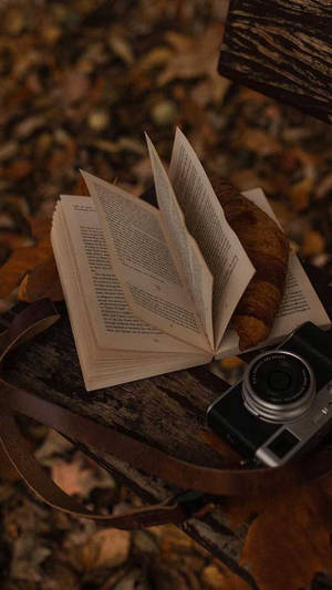 Темно-коричневая эстетика: книга и камера