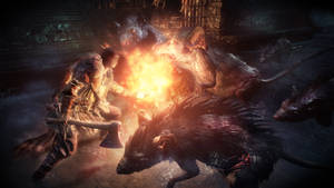 Темные души III Гигантские крысы — Dark Souls 3 Обои