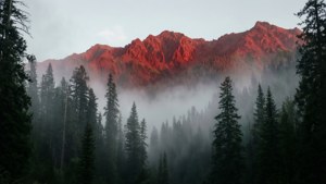 Таинственный вид на красную горную гряду сквозь туманный лес