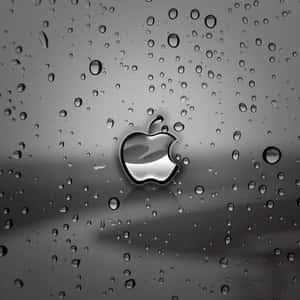 Тёмный милый iPad — Милый iPad Обои