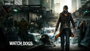 Фон Sleeping Dogs — Спящие собаки Обои