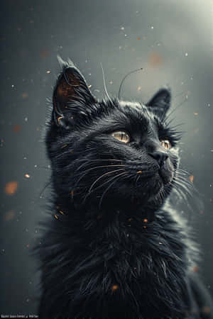 фотореализм, черная кошка, кинематографичность, цифровое искусство, кошачье искусство, любители кошек, обои — iPhone 4 Обои