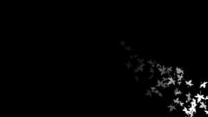 Эстетичные черно-белые картинки