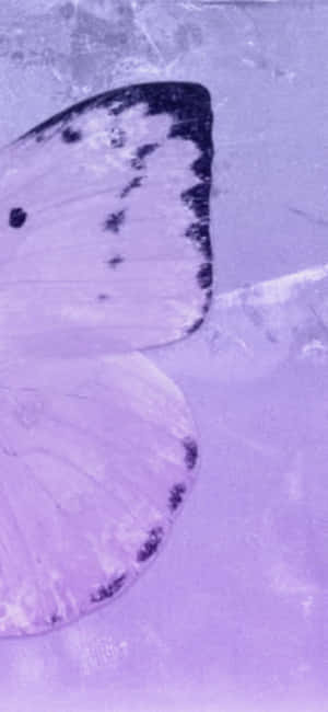 Aesthetic Purple Pictures — iPhone 11 Pro Обои