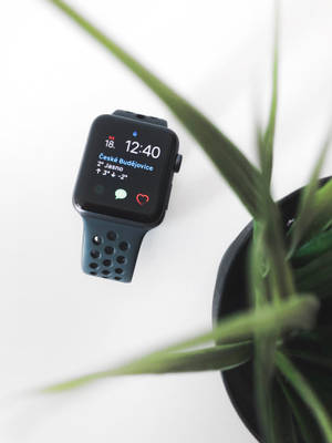 Обои с эстетичным фото Apple Watch — Apple Watch Обои