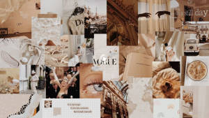 Эстетичный коллаж Dior, Gucci, Vogue в бежевых тонах